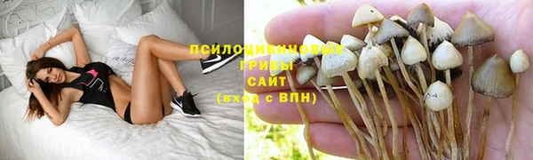 2c-b Горнозаводск