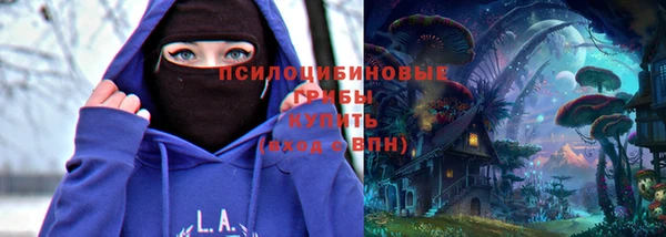 2c-b Горнозаводск