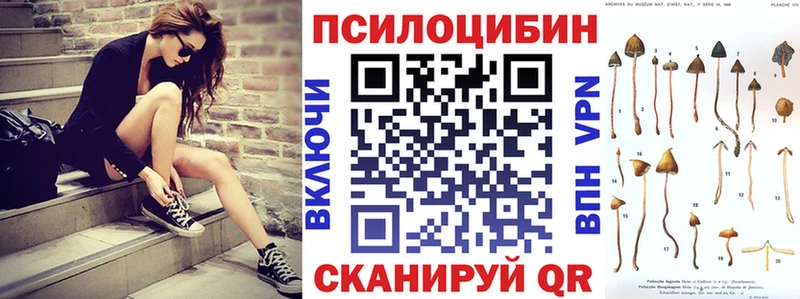 Купить закладки  Лесной  Галлюциногенные грибы ЛСД 